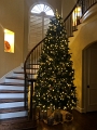 House_XMasLights_11-2020 (2)